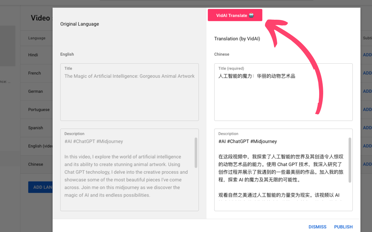 VidAI截图1