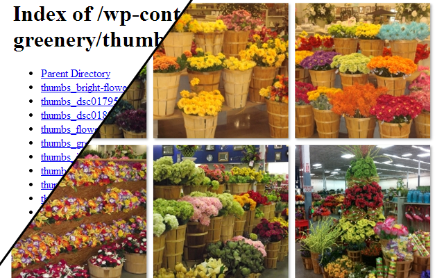 IMG inspector截图2