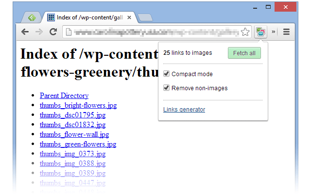 IMG inspector截图3