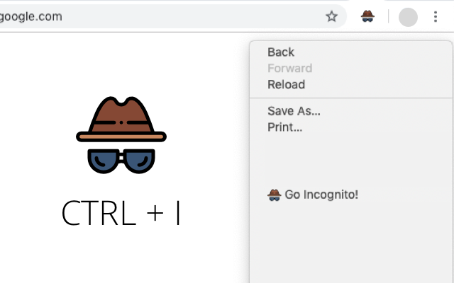 Go Incognito!截图1