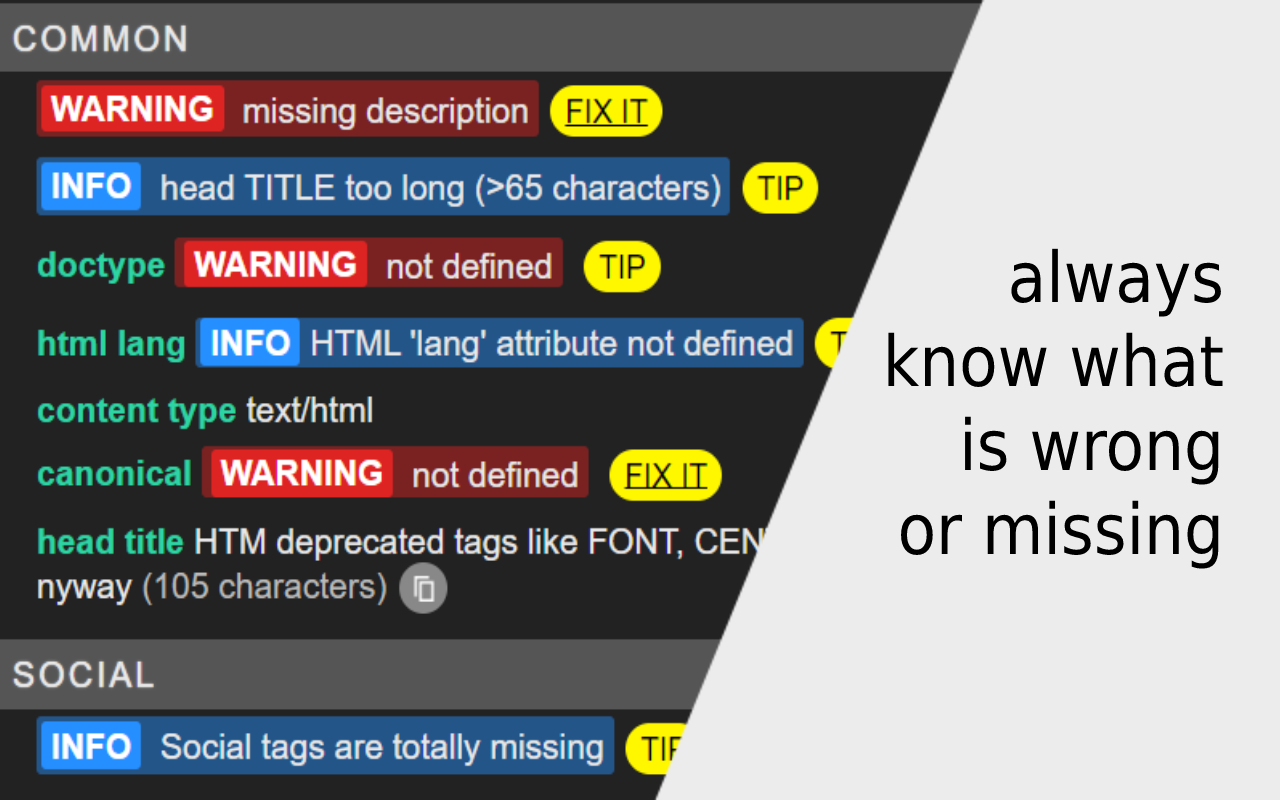 META SEO inspector截图4