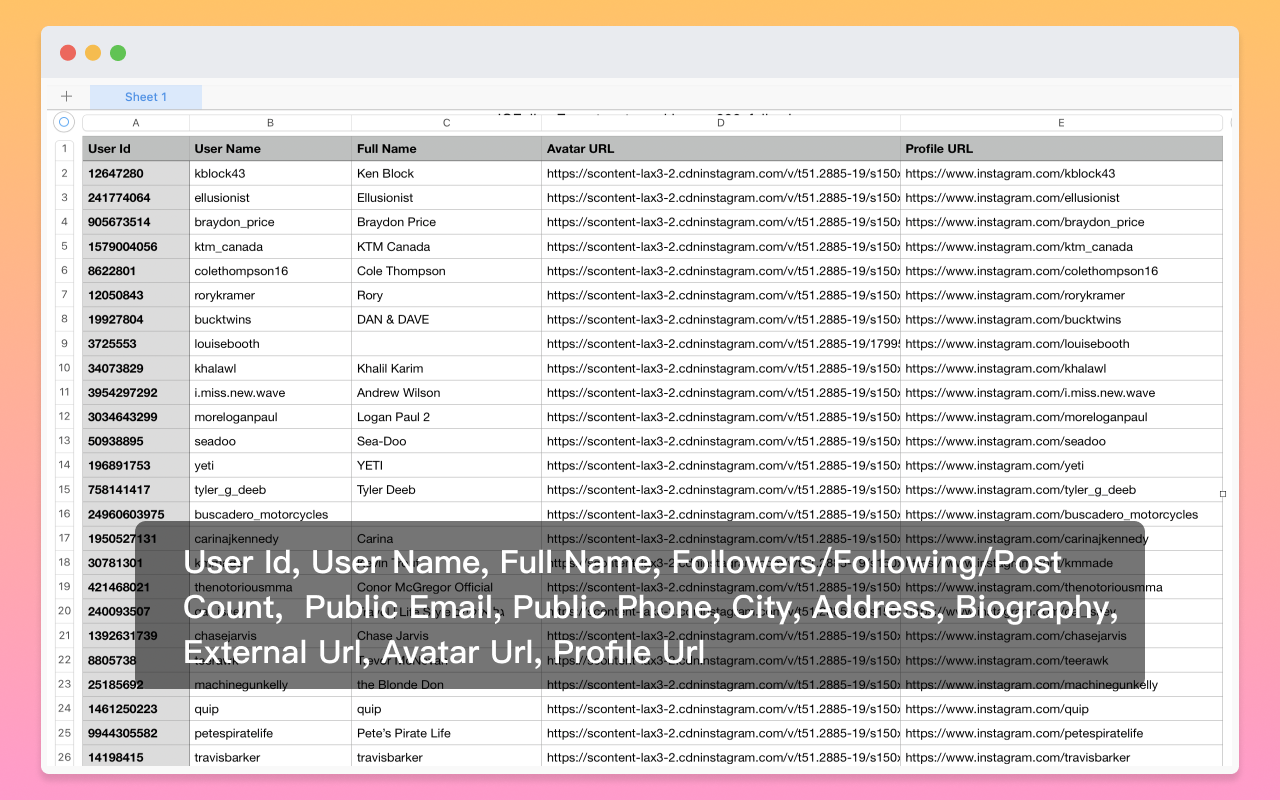 Email Scraper for Ins截图2