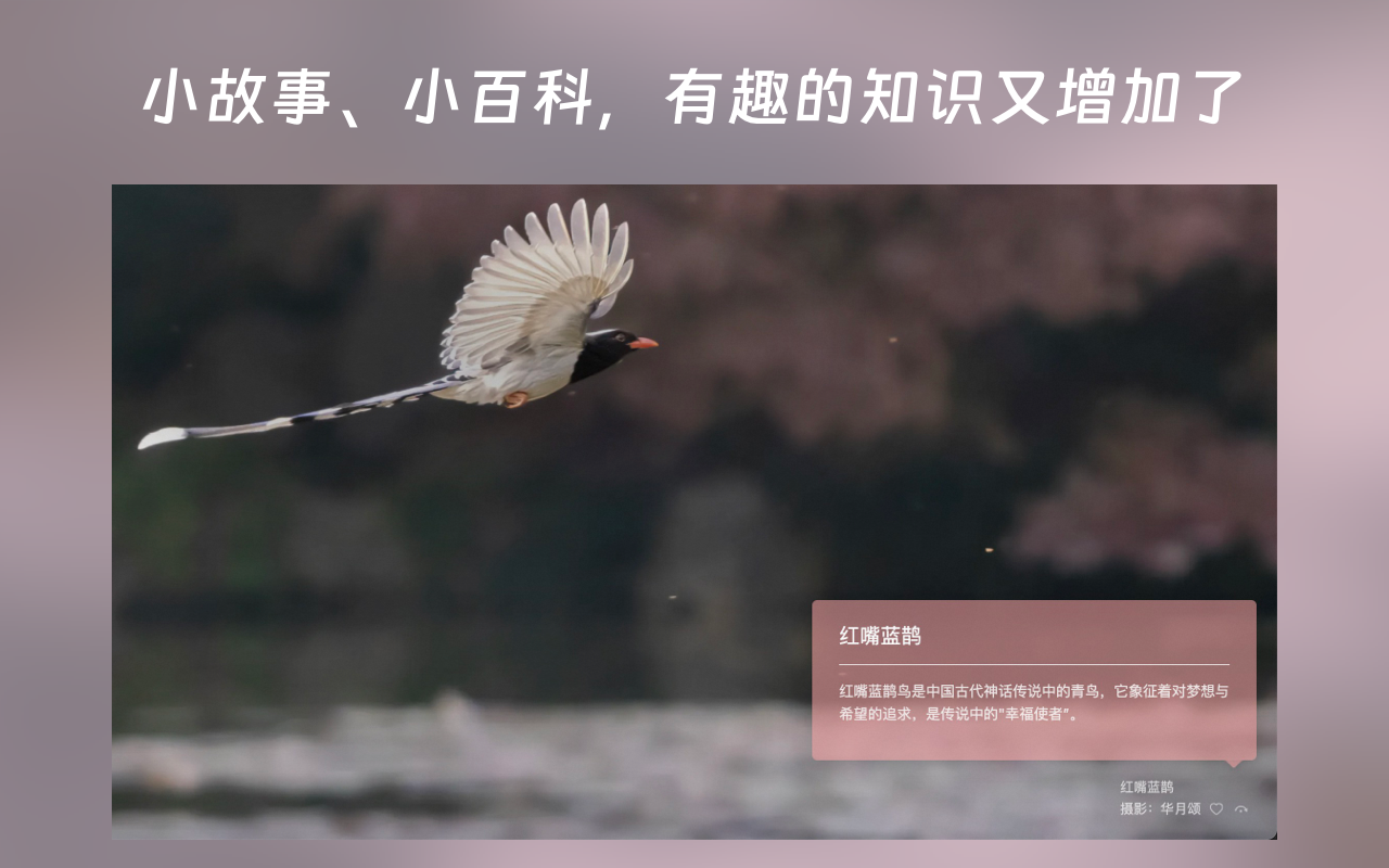 在云端 - AI 阅读助手截图3