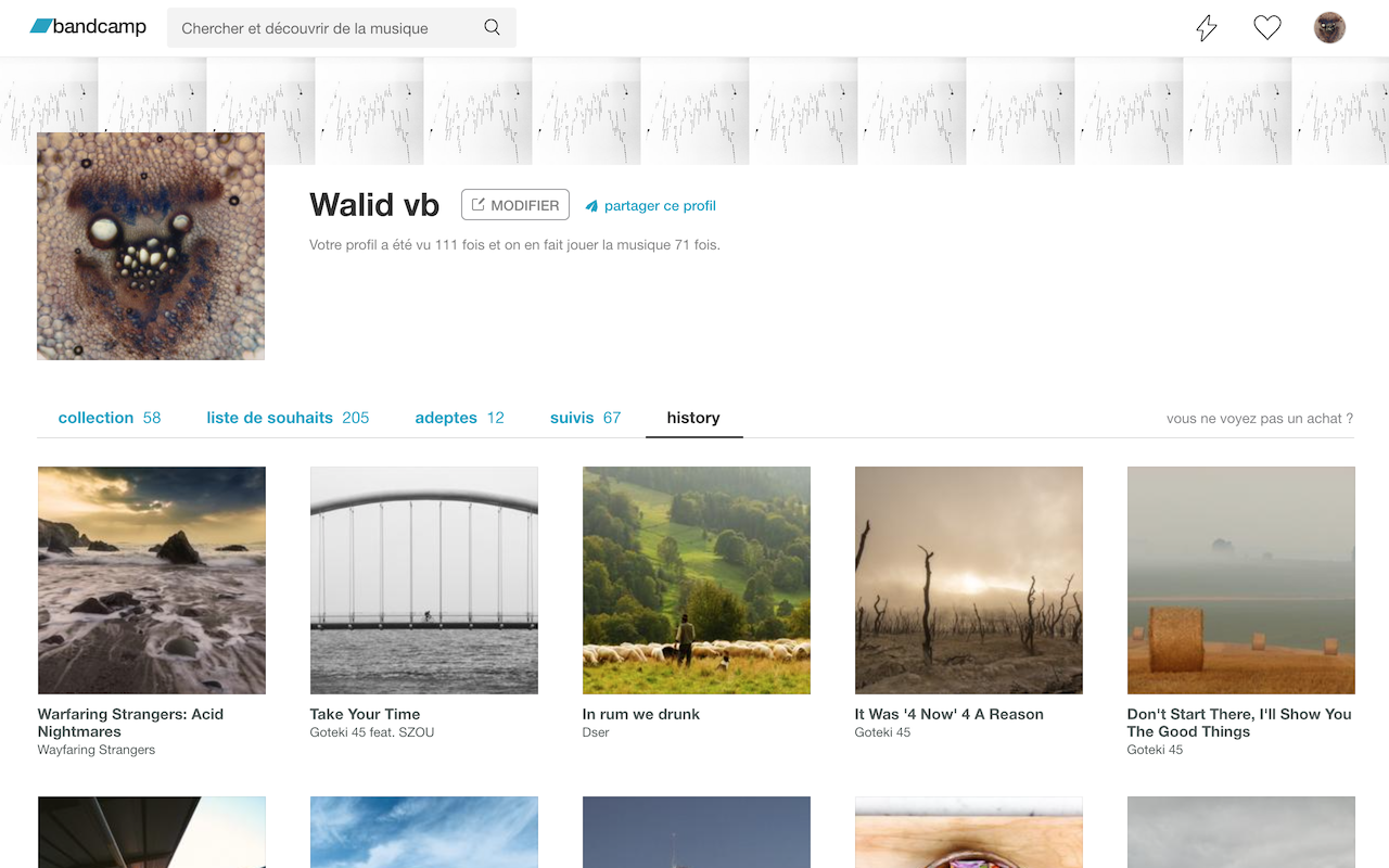Bandcamp History截图1