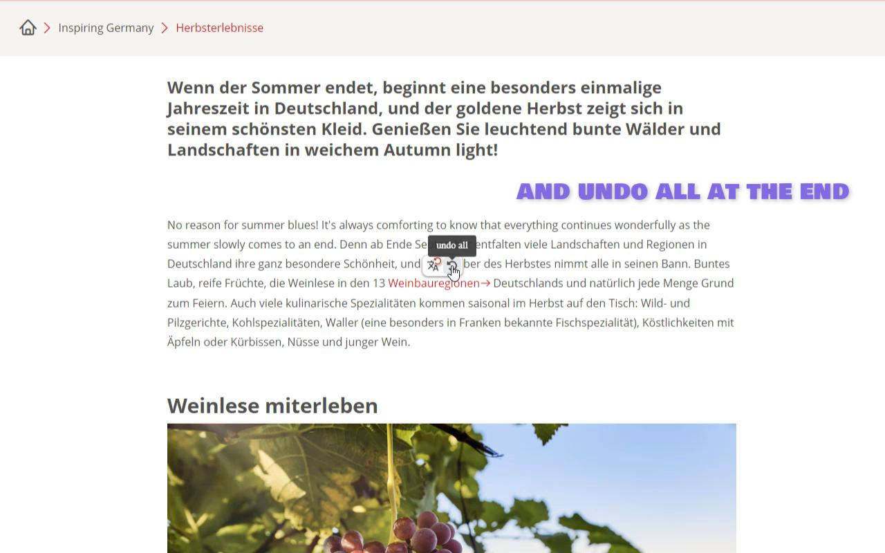 Inline Translator截图1