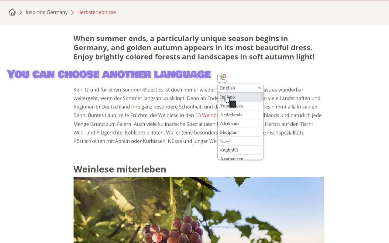 Inline Translator截图3