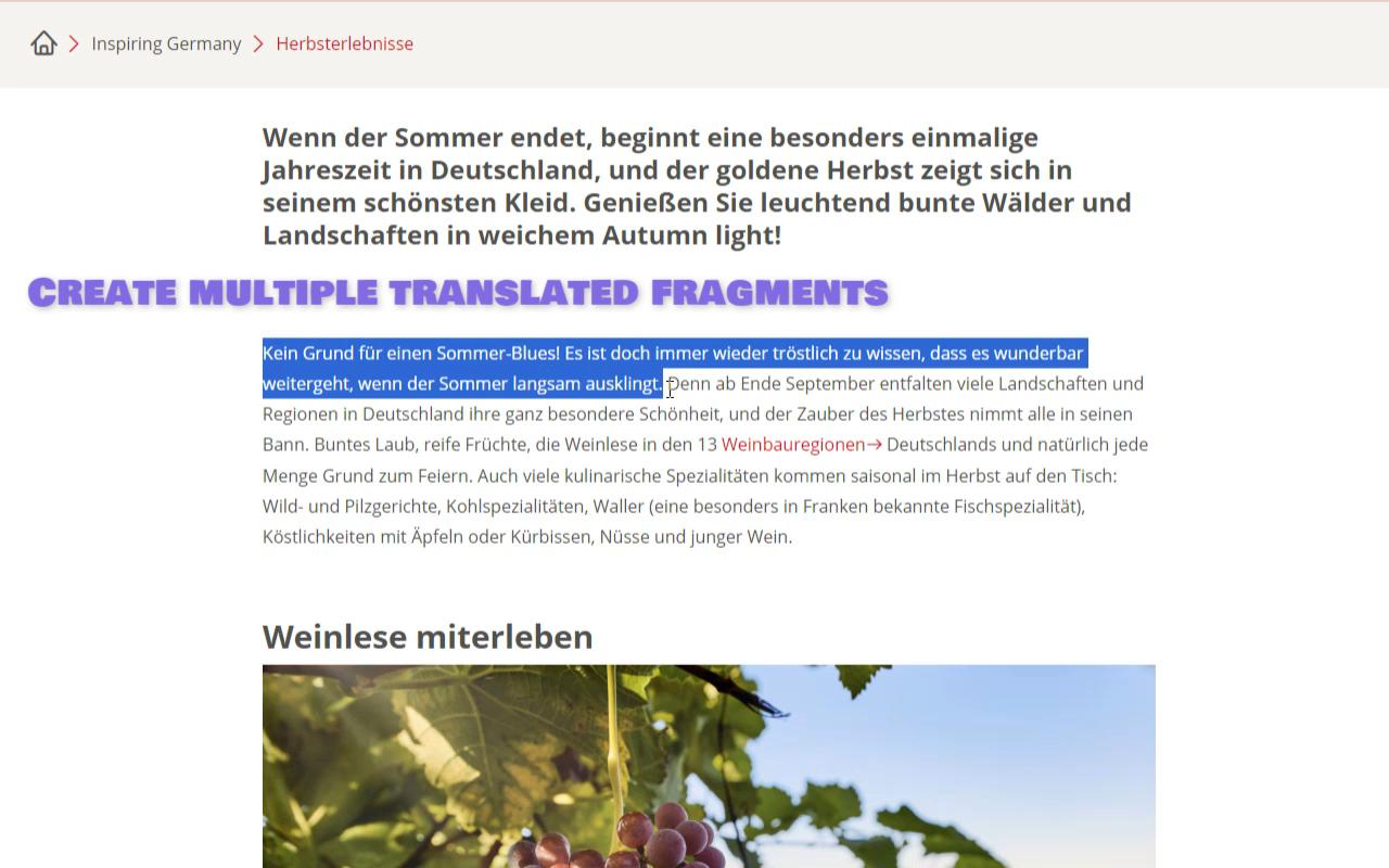 Inline Translator截图5