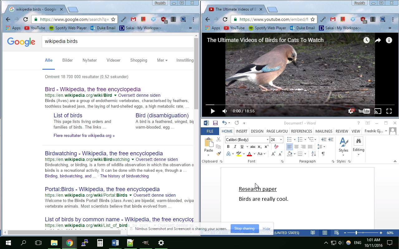 YouTube Windowed Fullscreen截图1
