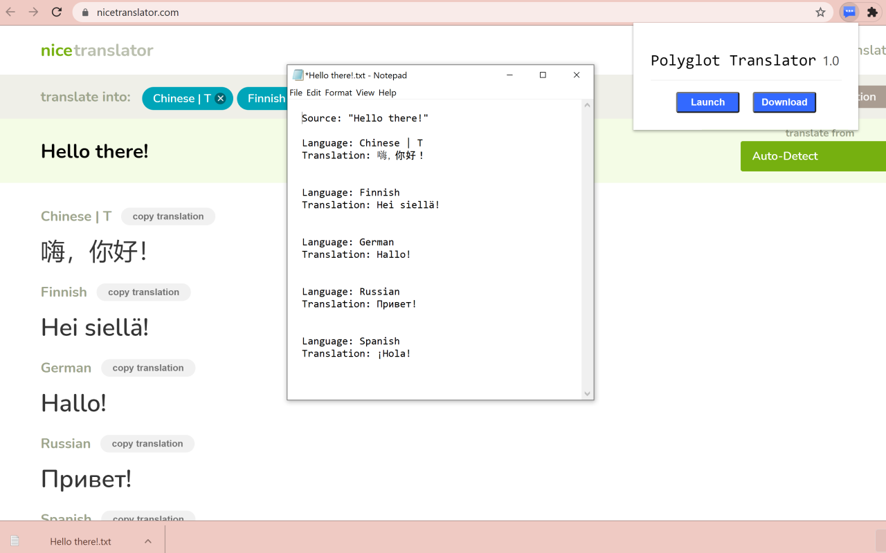 Polyglot Translator截图1