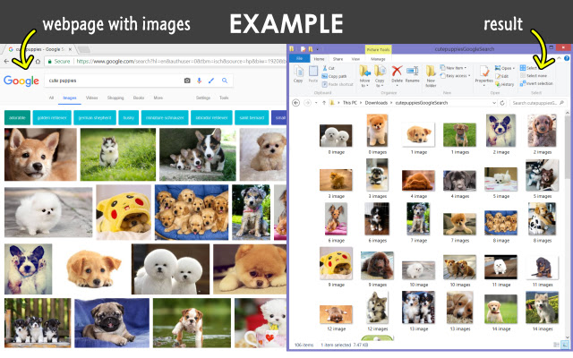 Download All Images截图2