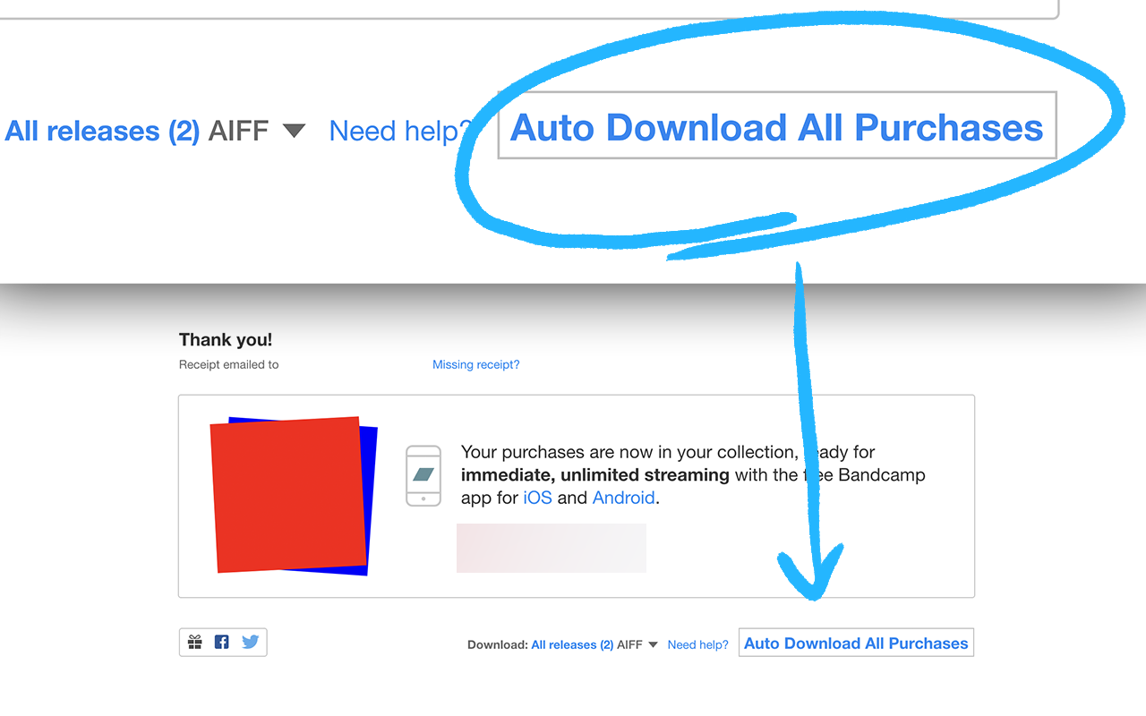 Bandcamp Auto Downloader截图1