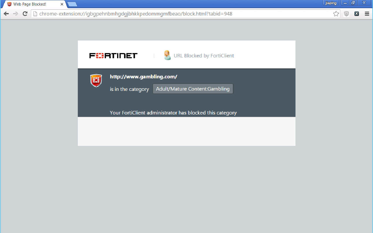 FortiClient Chromebook Webfilter Extension截图2