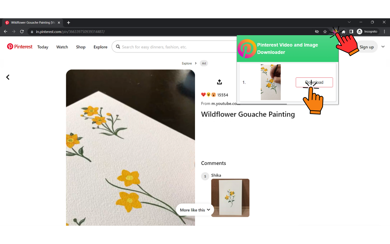 Pinterest Video & Image Downloader截图1