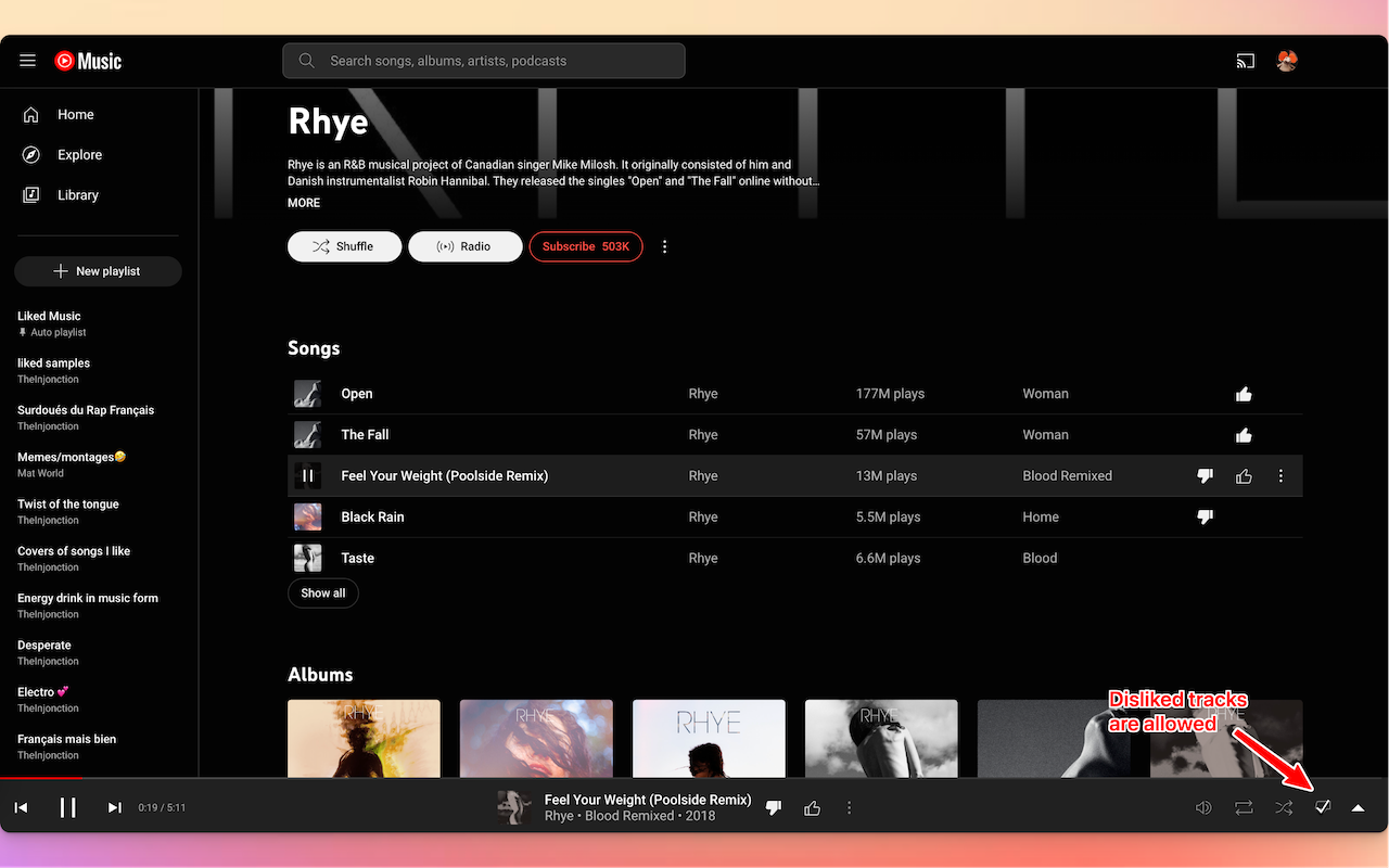 Skip YouTube Music Dislikes截图1