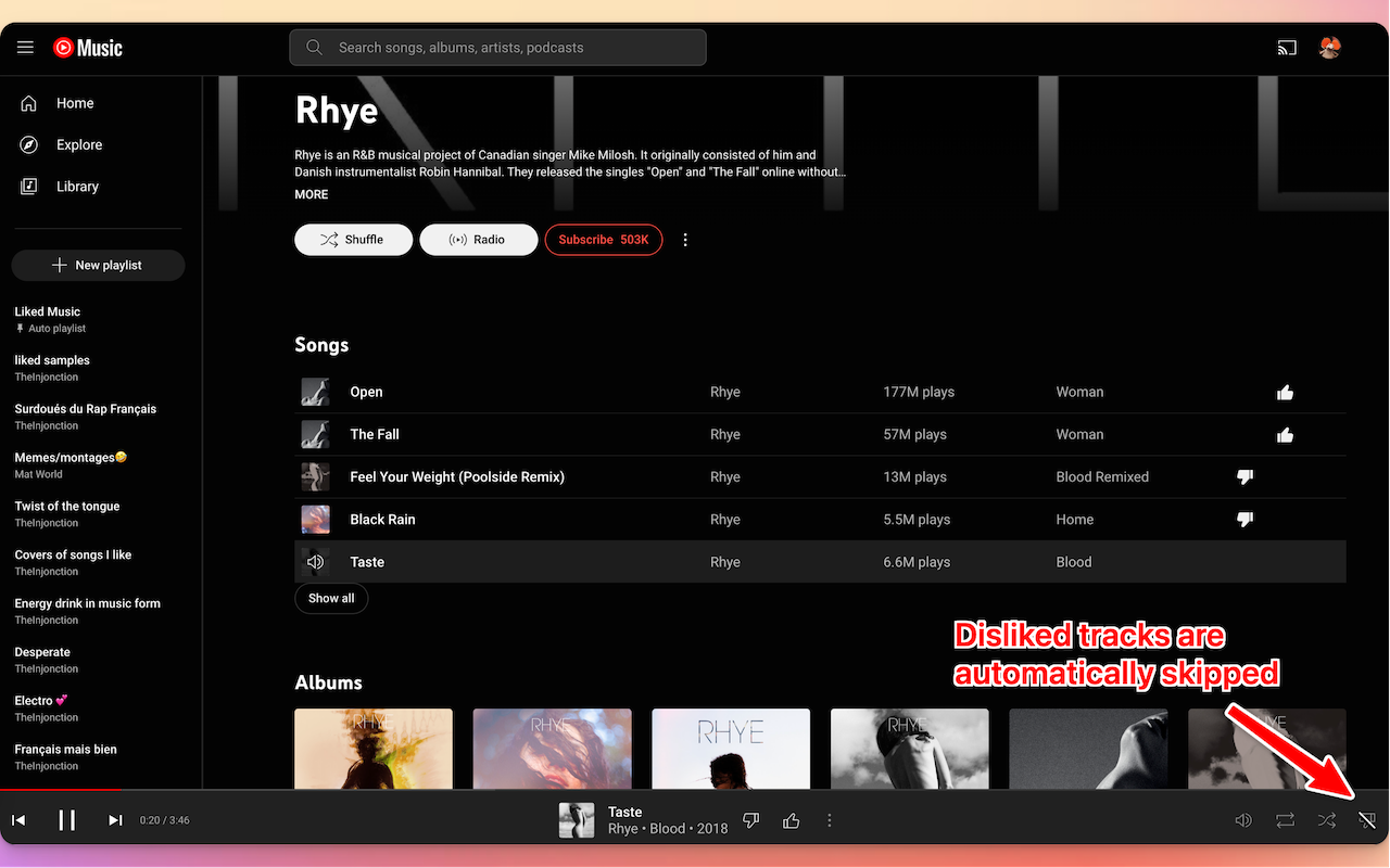Skip YouTube Music Dislikes截图2