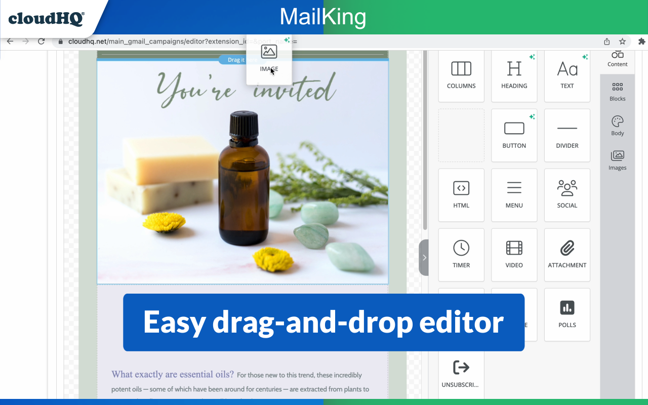 MailKing: Email Campaigns in Gmail by cloudHQ截图4