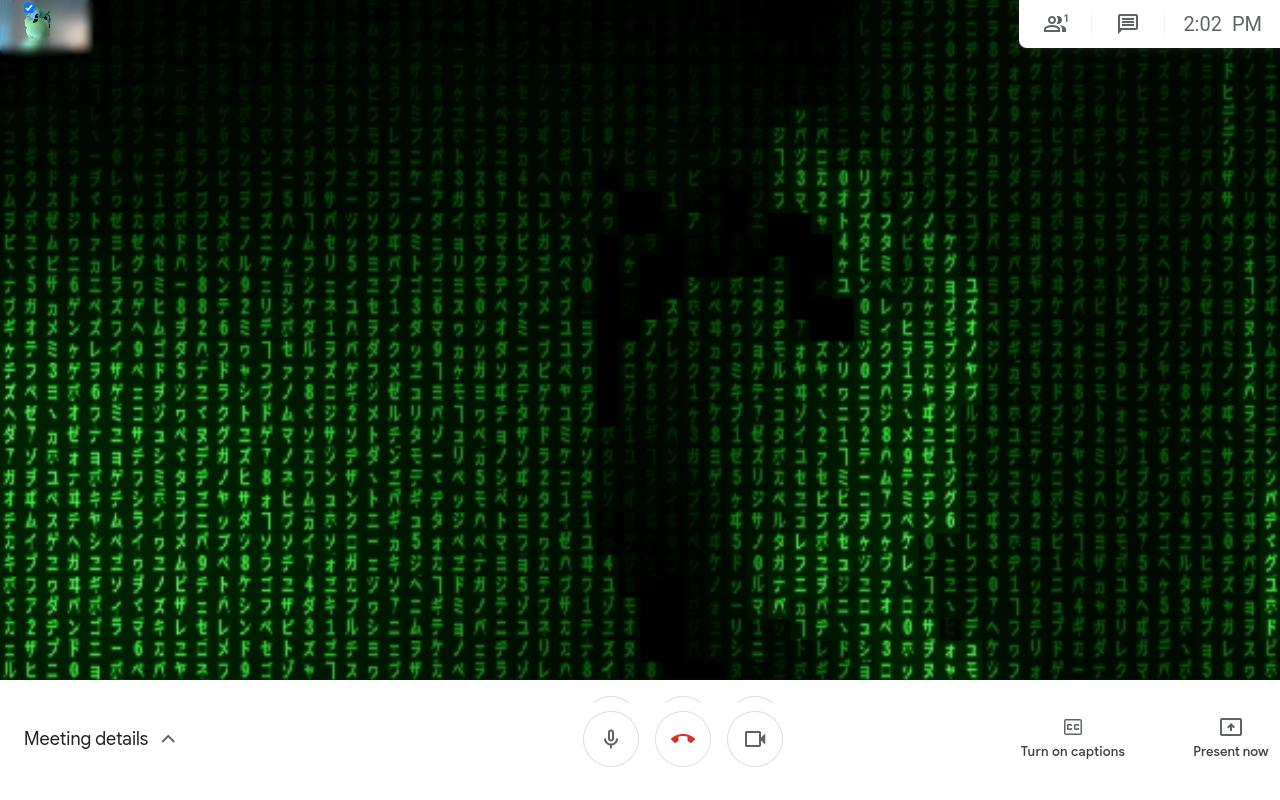 Google Meet Matrix Rain截图1
