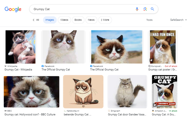 Quick Image Search截图2
