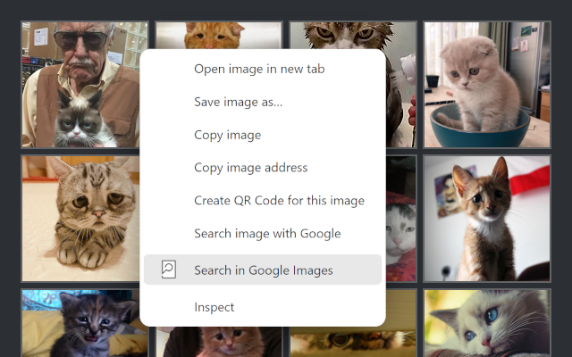 Quick Image Search截图3