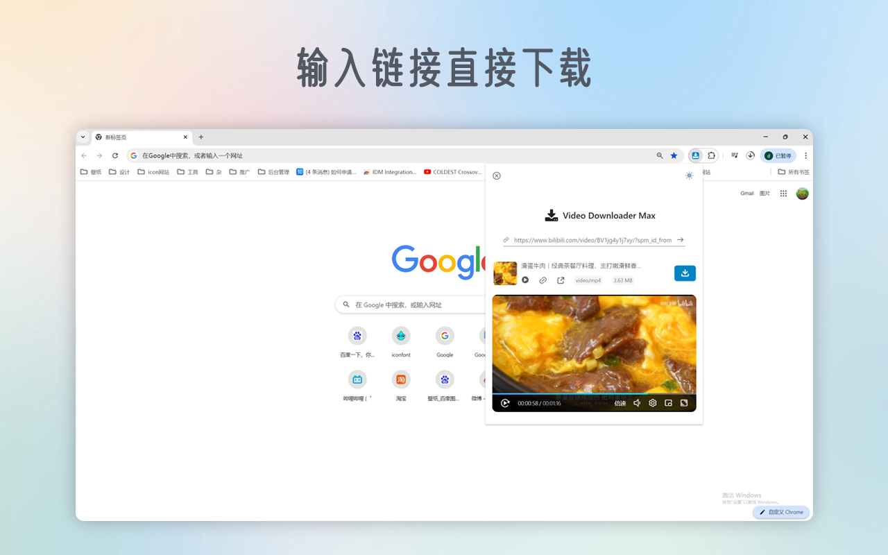VidDown - 专业视频下载器截图1