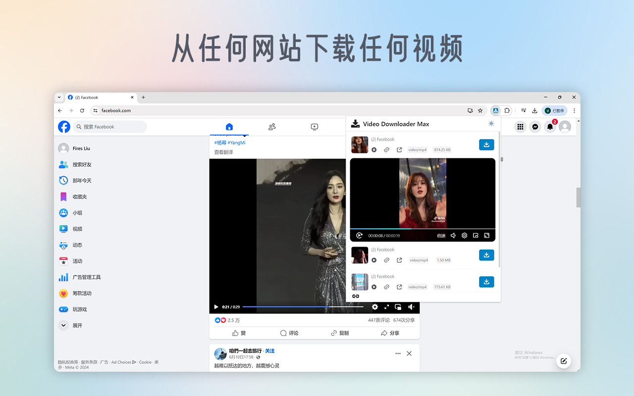 VidDown - 专业视频下载器截图2