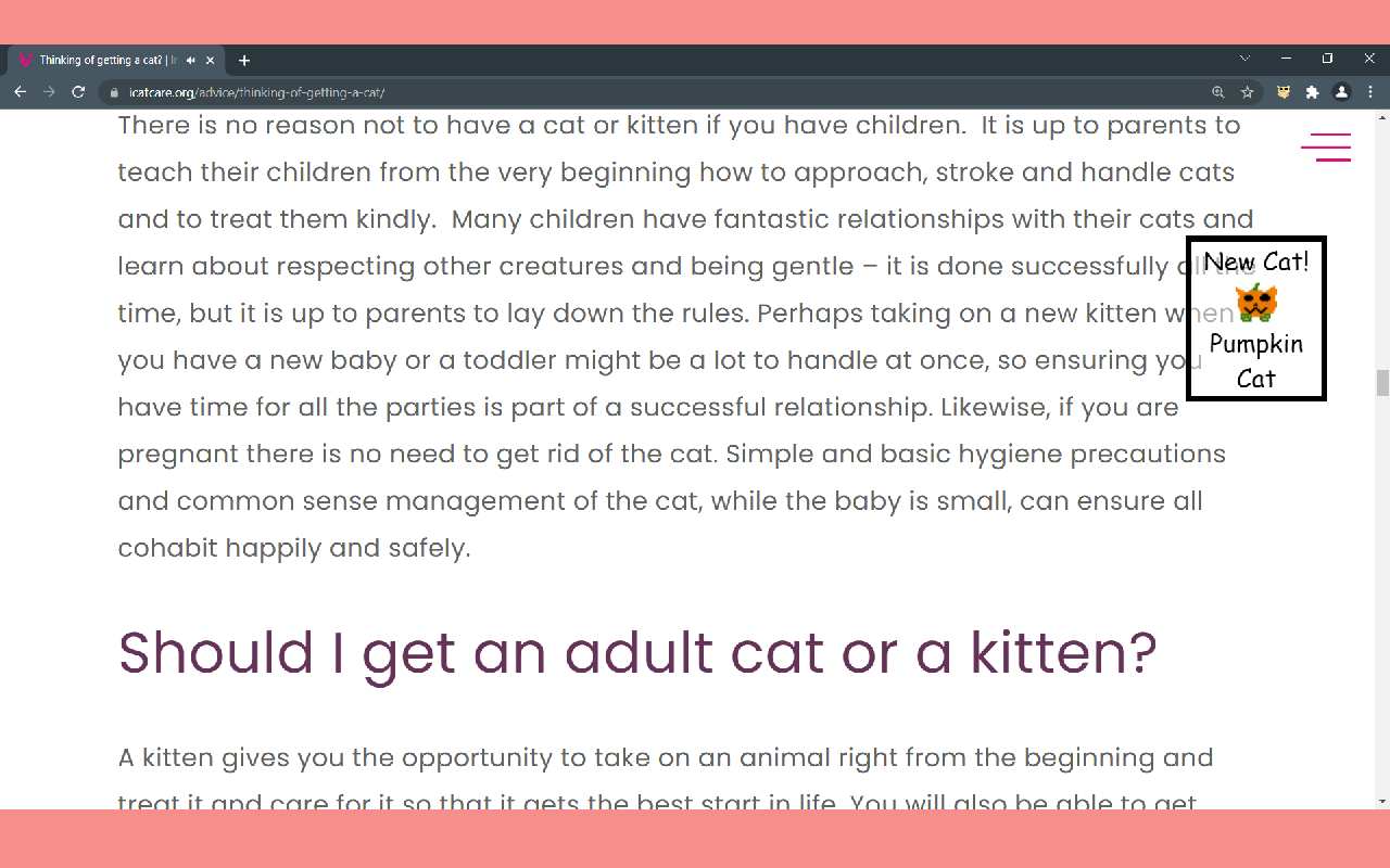 Meow You See Me截图2