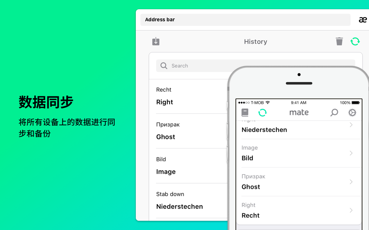 Mate Translate – 翻译器、词典截图2