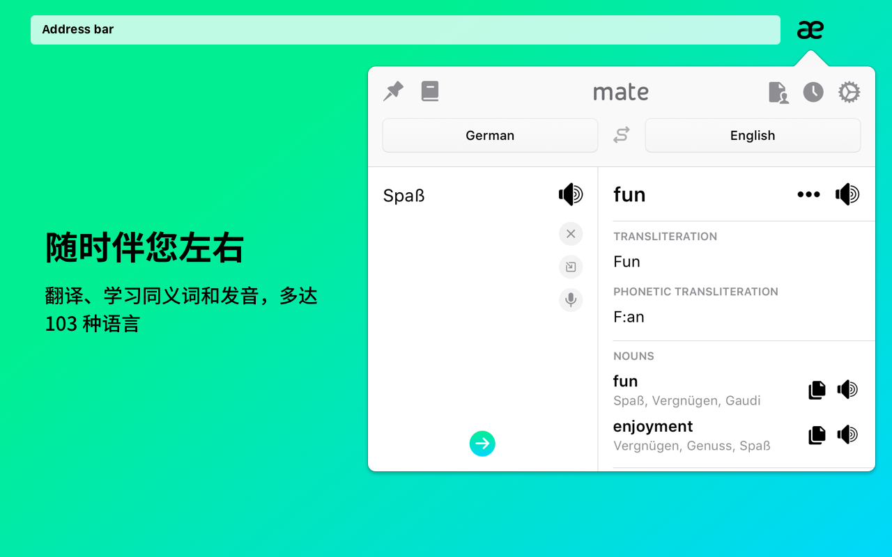 Mate Translate – 翻译器、词典截图5