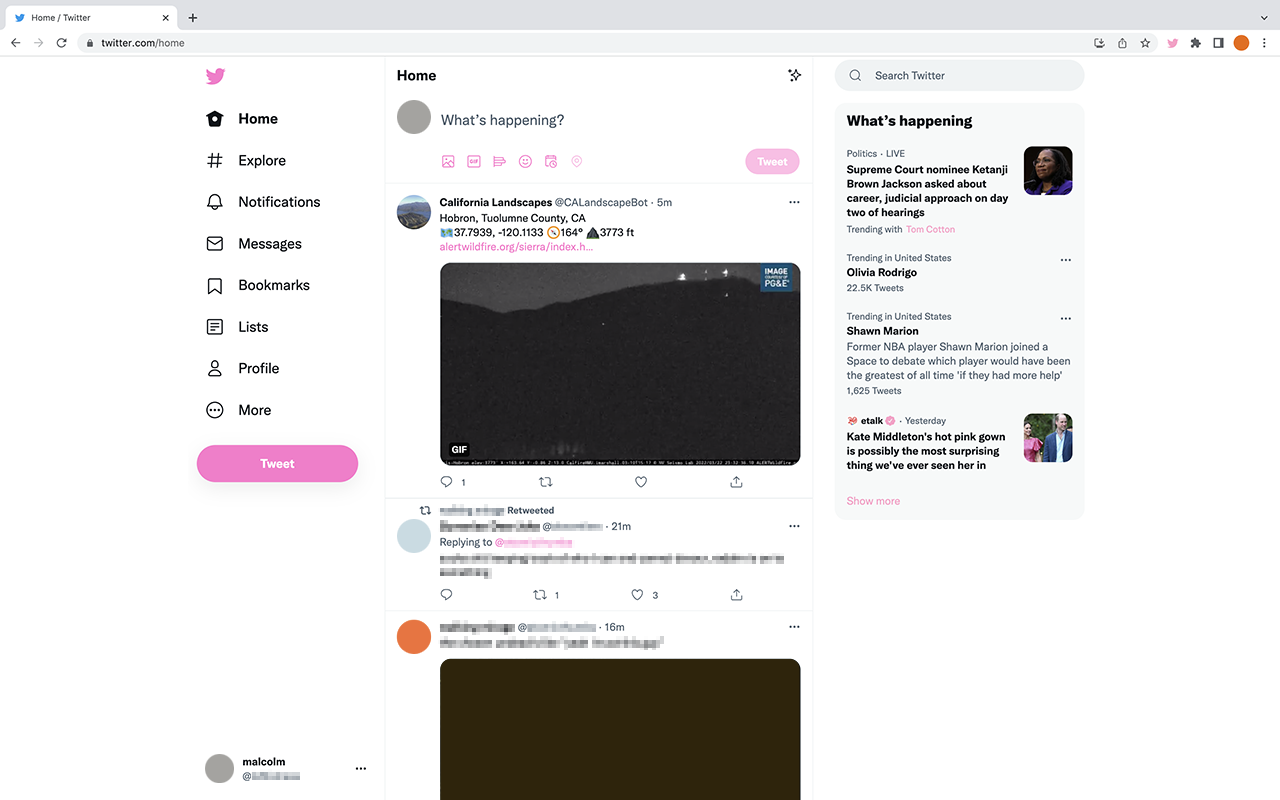 Twitter Custom Color截图3