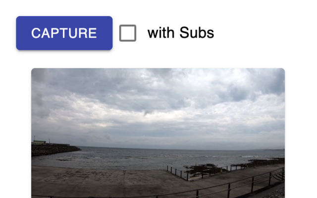 Capture Video Element截图2