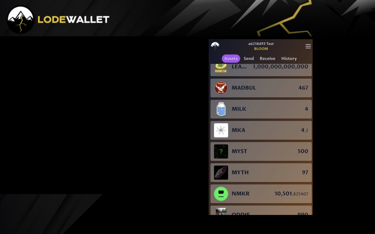 LodeWallet截图2