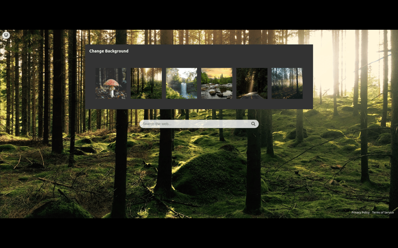 Forest New Tab截图2