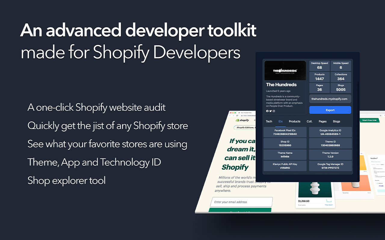 Shopify Website Audit截图2