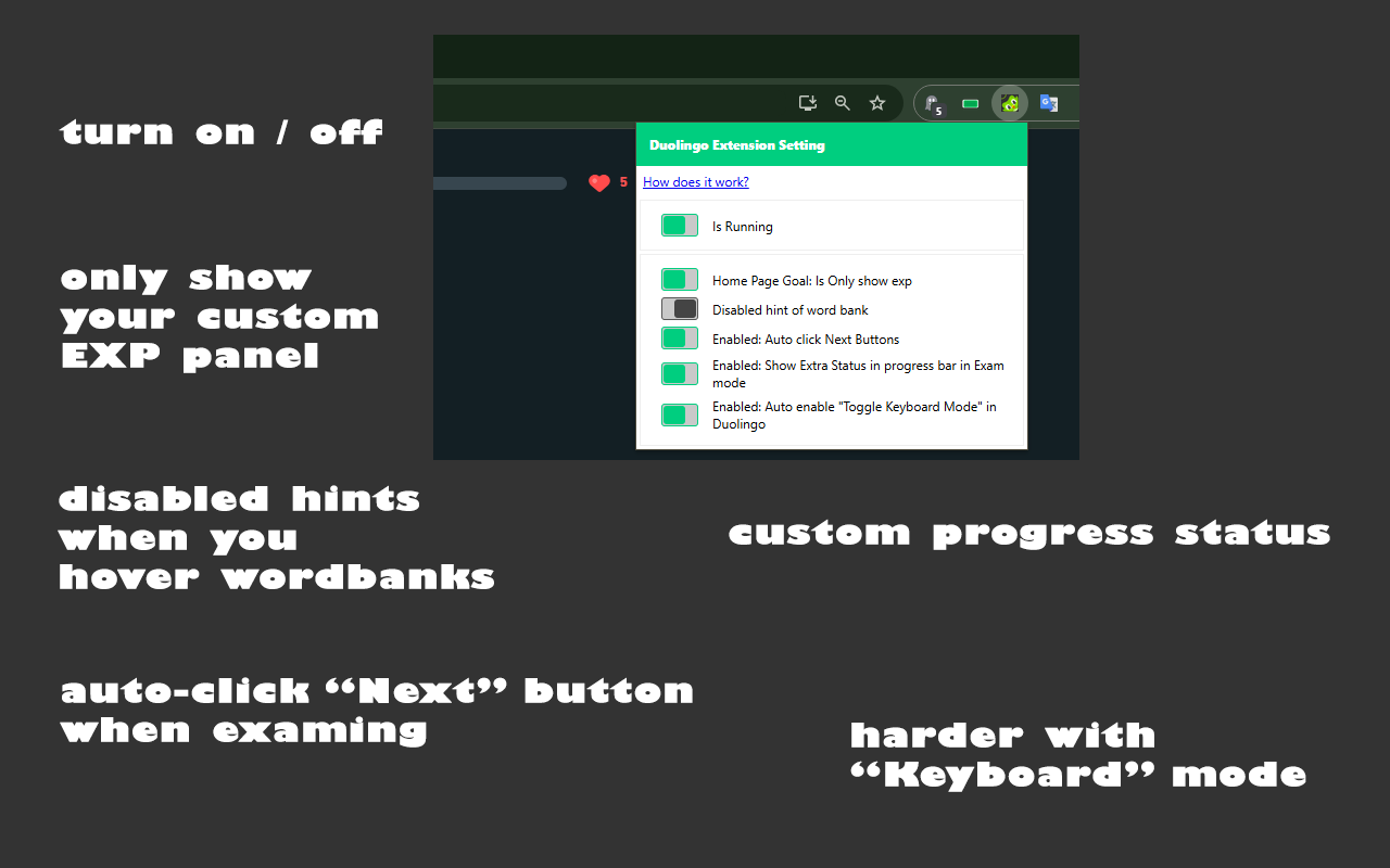 Extension for Duolingo截图2