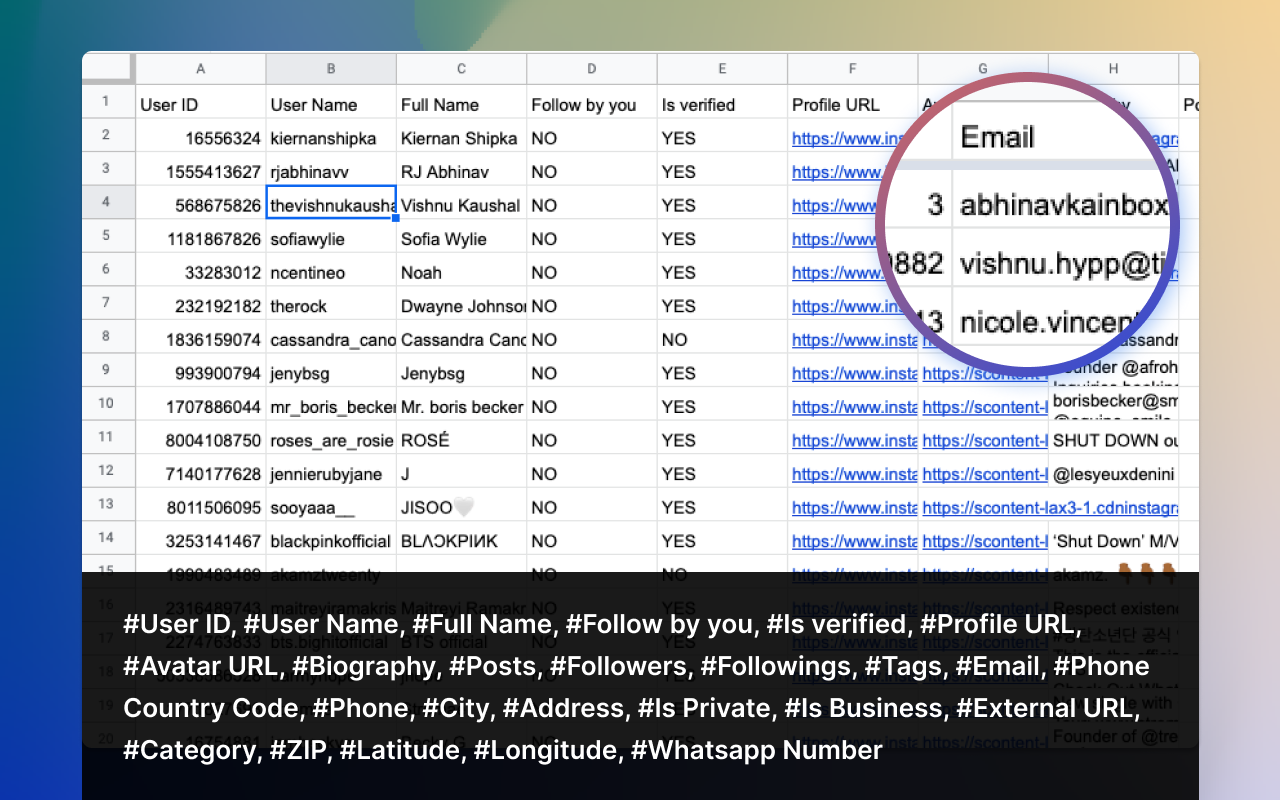 FollowFox - IG Follower Export Tool (Email)截图1