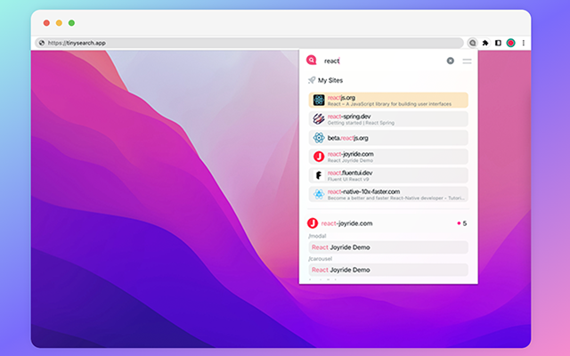 TinySearch - Advanced Navigator截图1