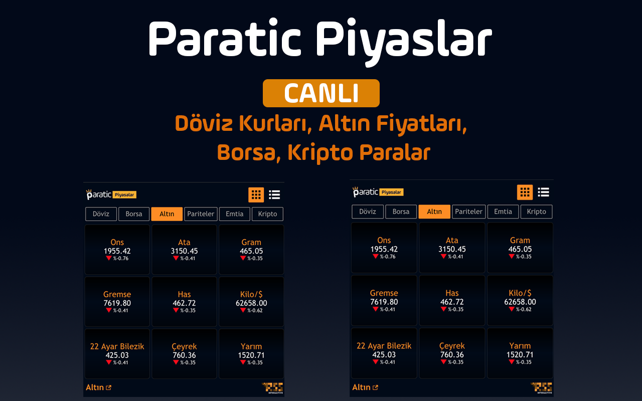 Paratic Piyasalar: Döviz, Altın, Borsa截图1