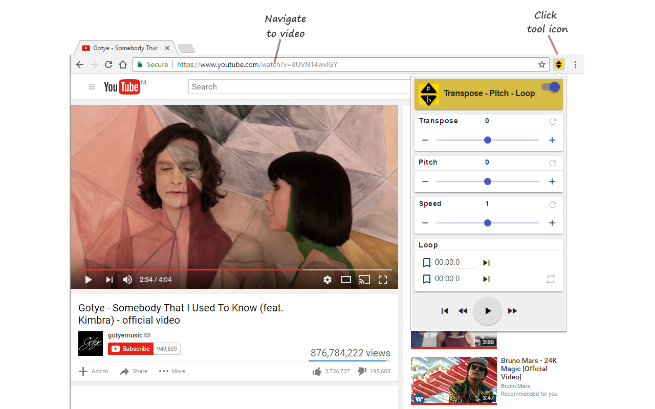 Transpose ▲▼ pitch ▹ speed ▹ loop for videos截图2