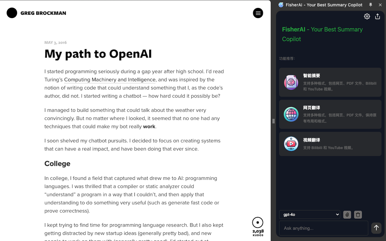 FisherAI - Your Best Summary Copilot: Free Gemini & DeepSeek截图2