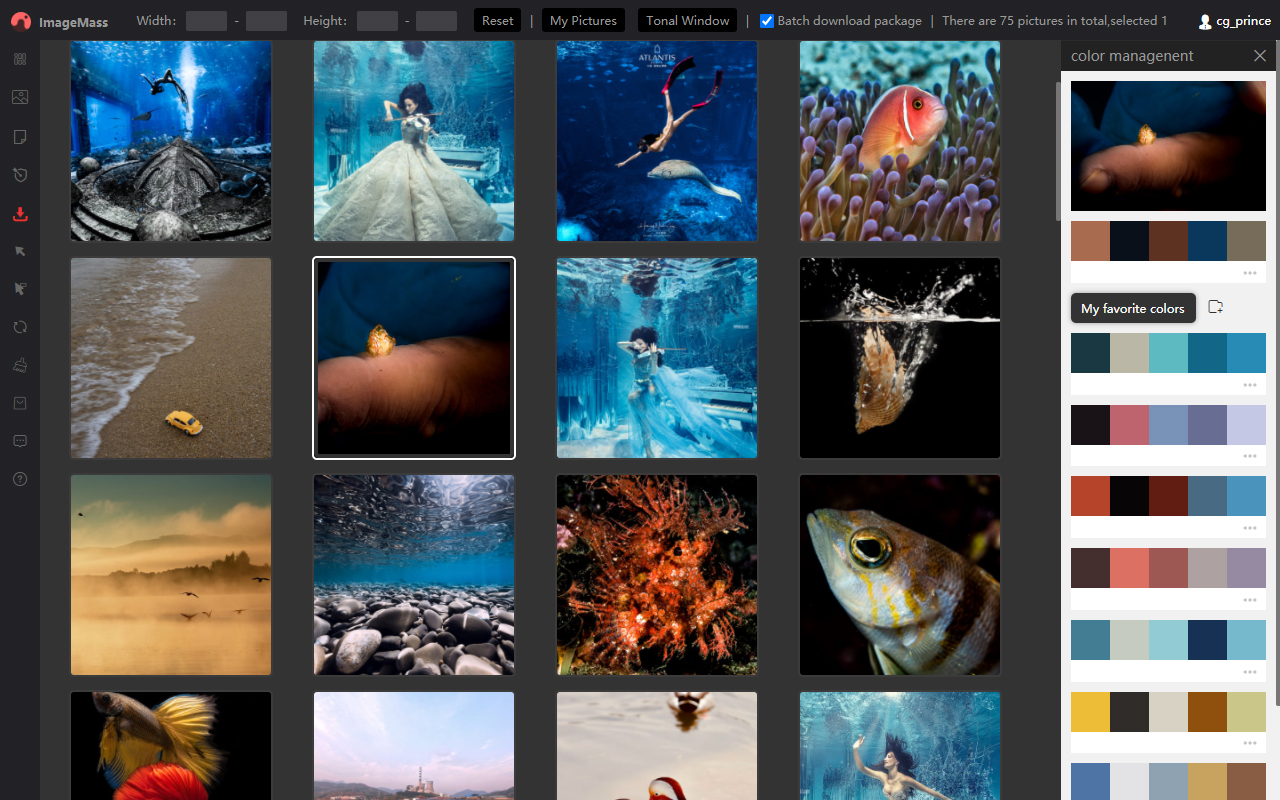 ImageMass - Bulk Images Downloader截图2