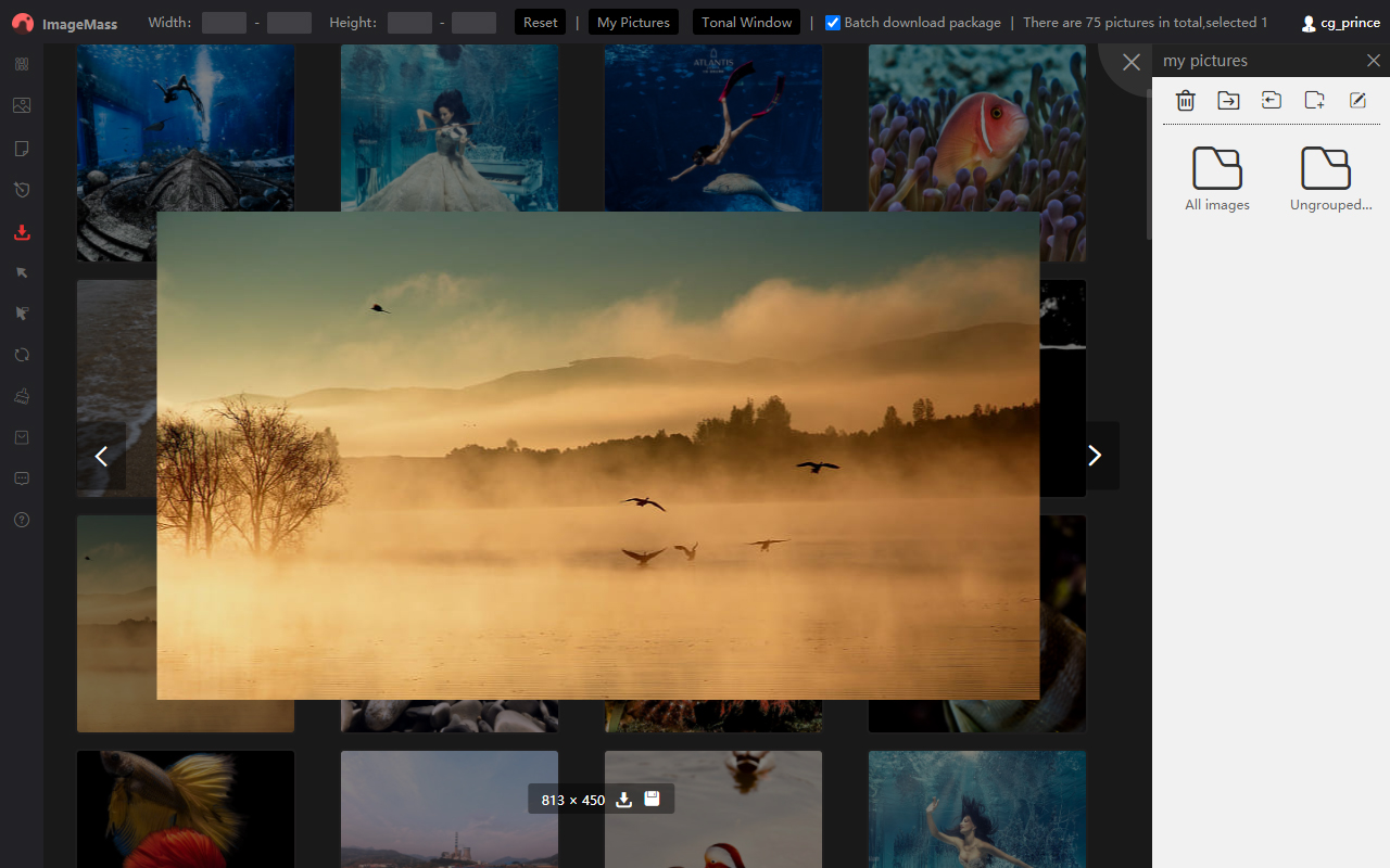ImageMass - Bulk Images Downloader截图3