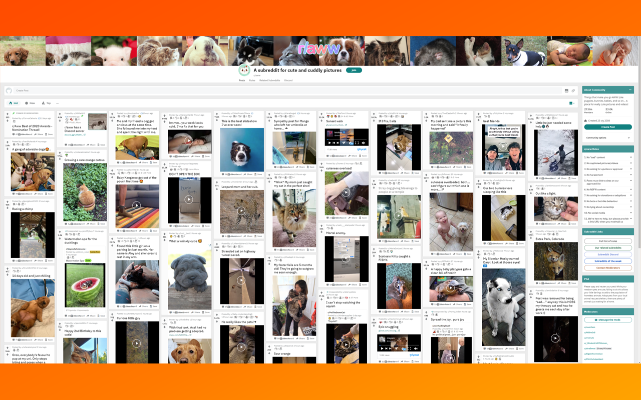 Reddit Column View截图2