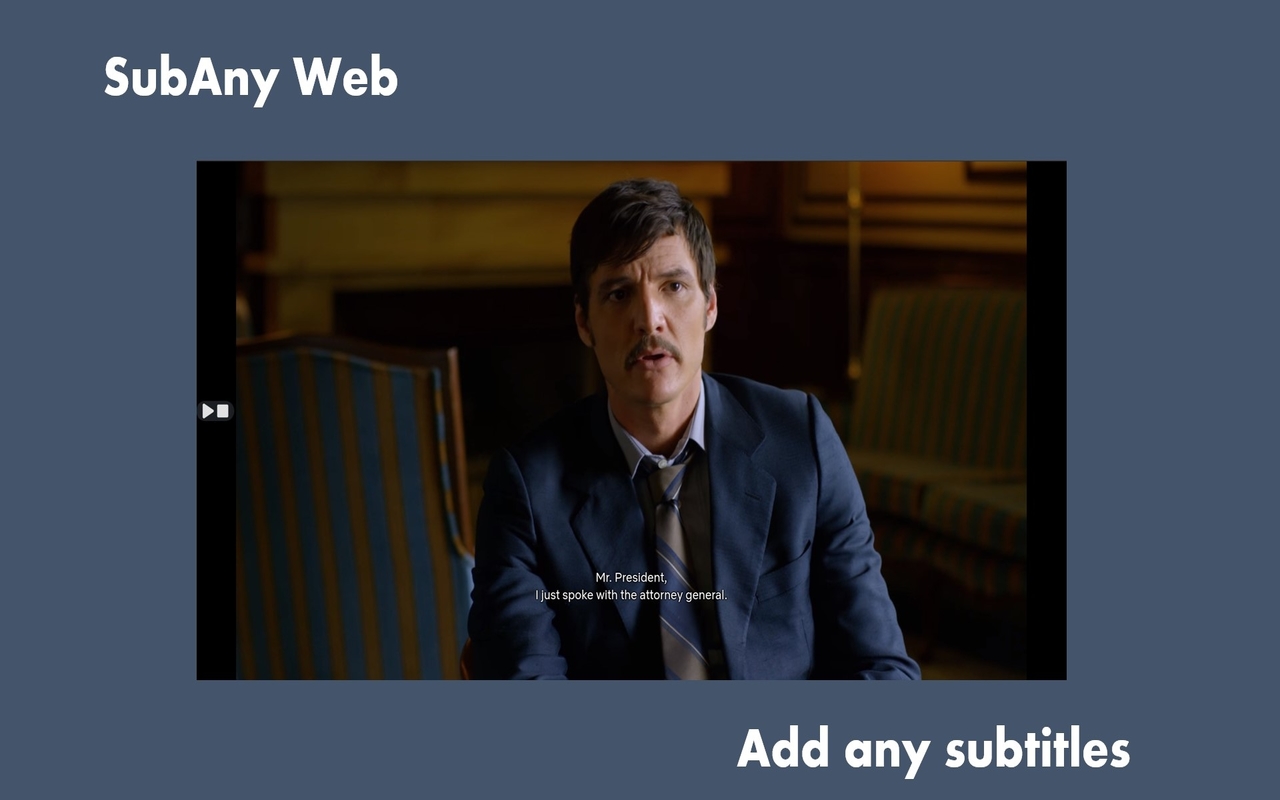 SubAny Web截图1