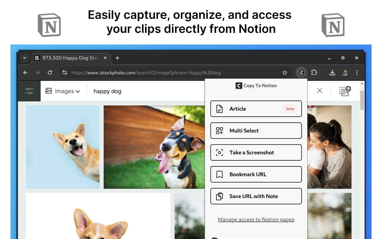 Copy To Notion: Clip anything to Notion截图3