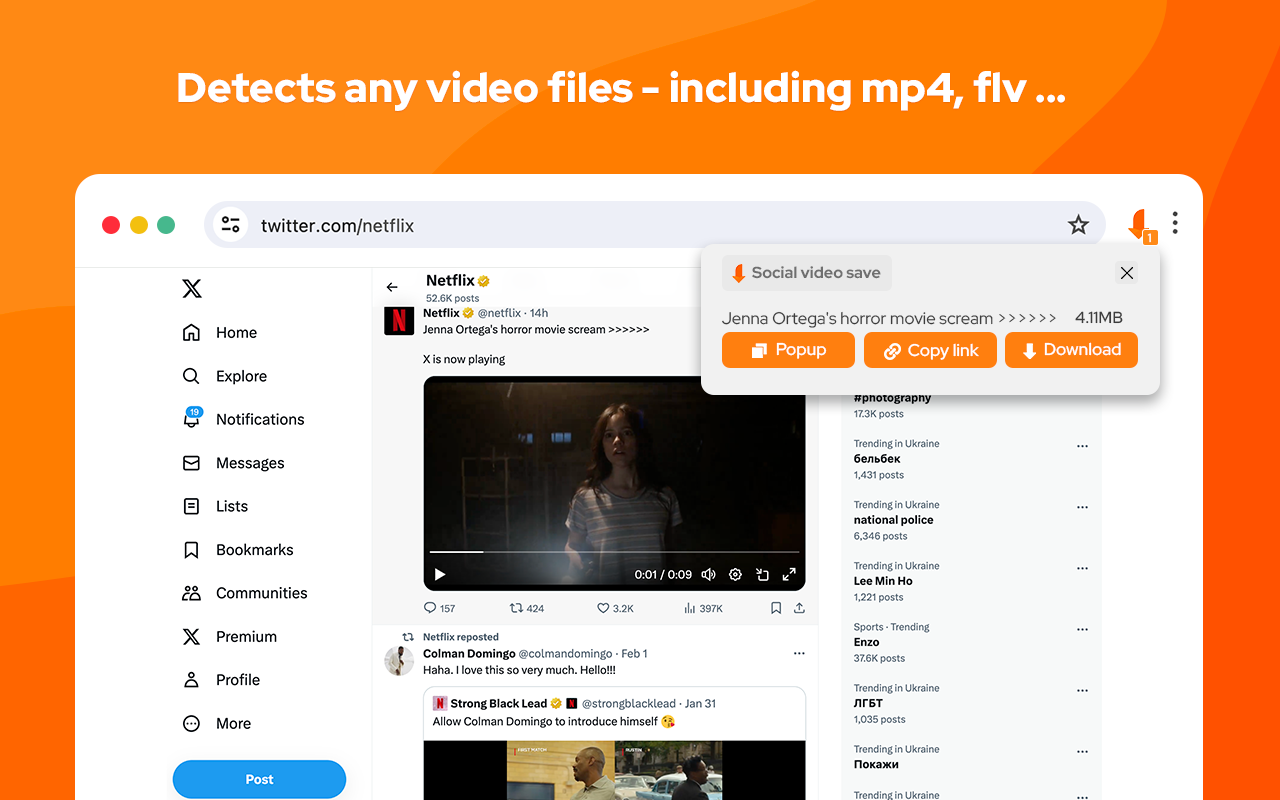 Video Downloader Social截图4