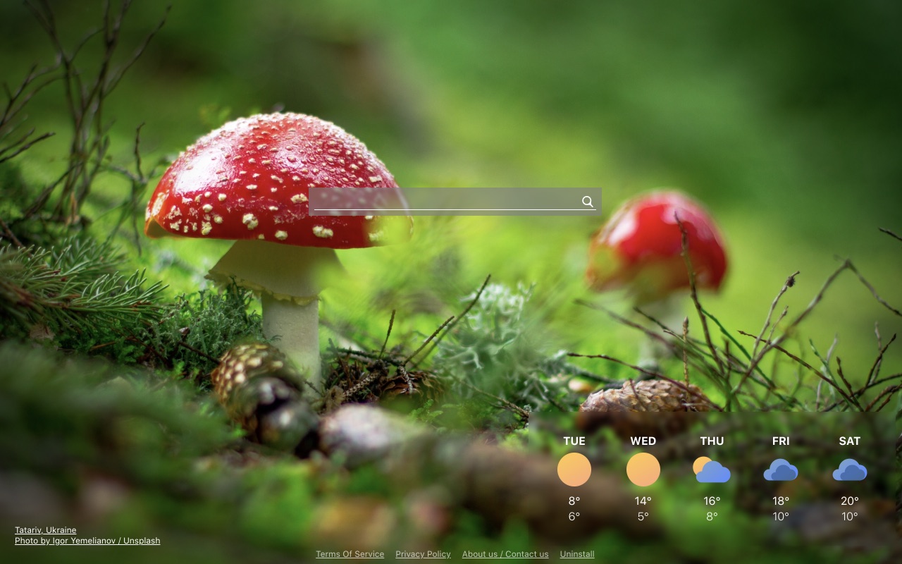 Enjoy Dash截图3