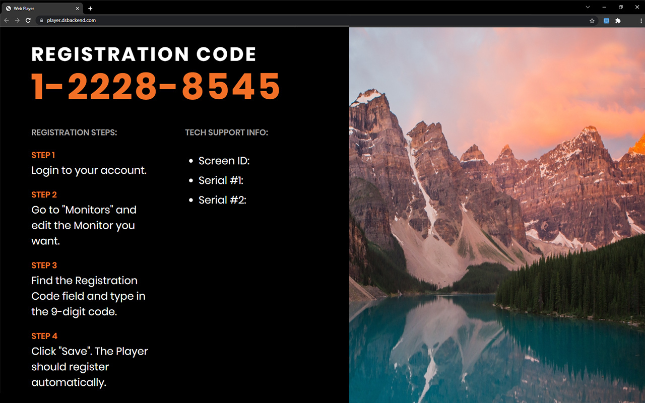 DS-Backend Web Player Extension截图1