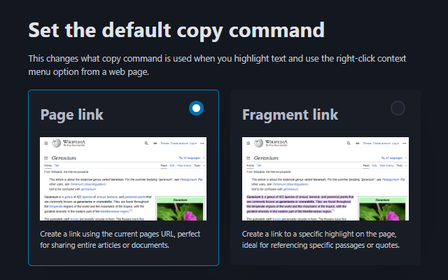 Copy Text as Link截图4