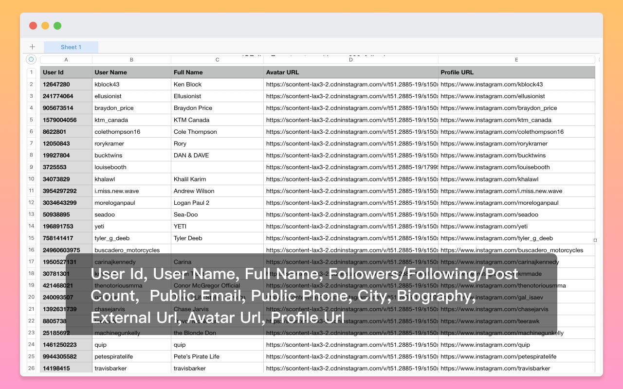 Follower Data Exporter for IG截图2