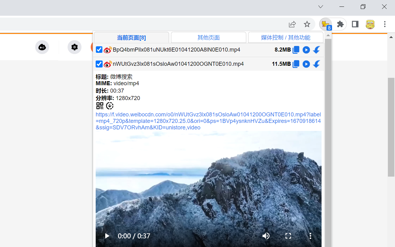 猫抓截图2